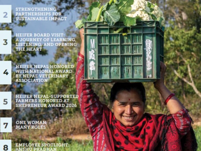 Newsletter January – June 2026
